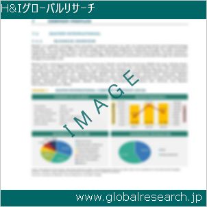グローバルリサーチ調査レポートのイメージ
